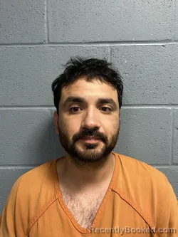 Mugshot of BRANDON ALBERTO MOLINA