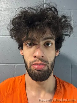 Mugshot of AIDEN COLE BURNS