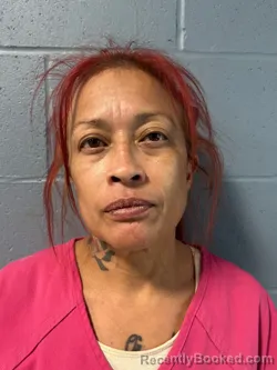 Mugshot of MICHELLE LYNETTE MANIBUSAN