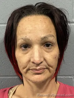 Mugshot of JADE MARY MAYS