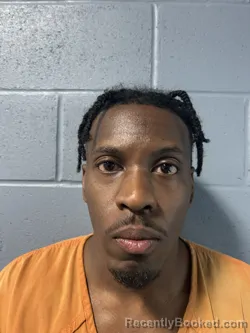 Mugshot of JOHN WILLIAM LEON LANAR BROOKS