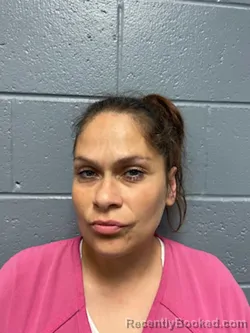 Mugshot of APRIL RENEE HANKS