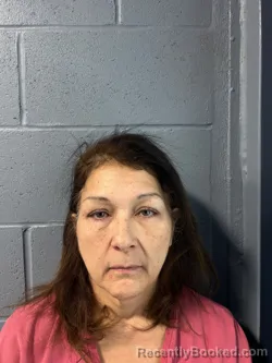 Mugshot of RACHEL RACHELLE HODGES