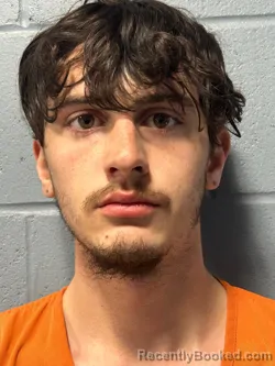 Mugshot of COLTON BURNELL HEGLAND