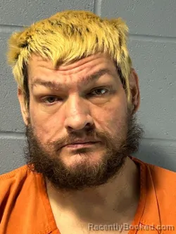 Mugshot of JEREMY NELSON HOWELL