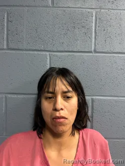 Mugshot of MISTY NICOLE STIGER