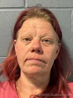 Mugshot of BRANDIE LEE RAMSEY