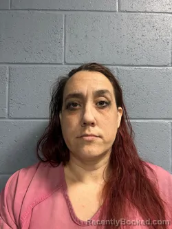 Mugshot of JULISA RAE DOHN