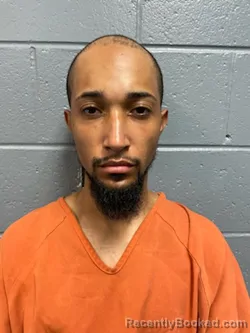 Mugshot of SCOTT LLXANDER COLLINS