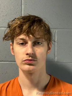 Mugshot of NATHAN ROSS BRASHERS