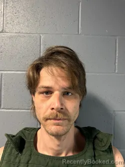 Mugshot of BRANDON GUY LEMON