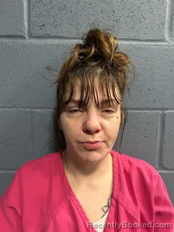 Mugshot of COURTNEY ANN BILLINGS