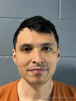 Mugshot of COLTON TYLER PETHERICK