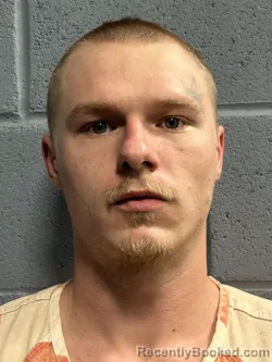 Mugshot of WESLEY DEAN SISSOM