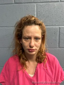 Mugshot of NAKAYLA DANIELLE SULLIVAN