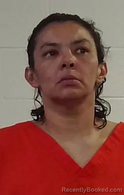 Mugshot of JENNIFER BROWN