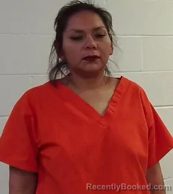 Mugshot of TONI JEAN KELLEY