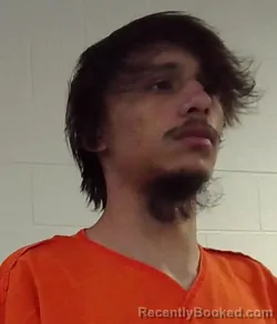 Mugshot of GABRIEL JOSELOUIS SAUCEDO