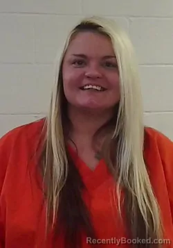 Mugshot of ASHLEY N HANLEY