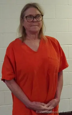 Mugshot of JULIE DAWN DAVIS