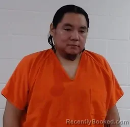 Mugshot of ROBYN GEORGE JR WALKER