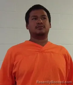 Mugshot of RYAN LEE TIGER
