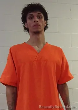 Mugshot of TANNER MCLISH WOOD