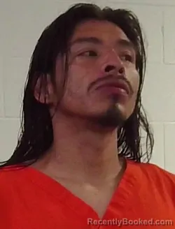 Mugshot of PETER HARJO