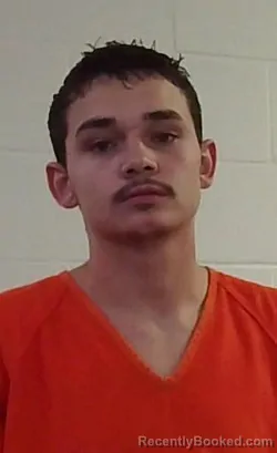 Mugshot of CAMRYN OSTIN HILL