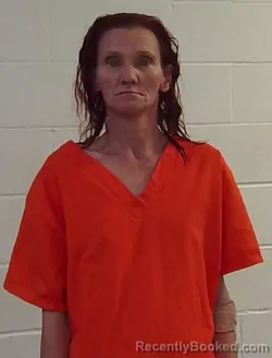 Mugshot of CHRISTI LYNN BURCH