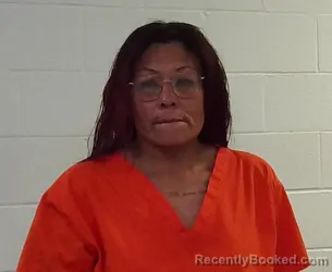 Mugshot of PATRICIA MARIE TIGER booked in Seminole County, Oklahoma on March 20, 2026