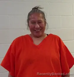 Mugshot of DIANA LYNN ALFORD booked in Seminole County, Oklahoma on March 20, 2026