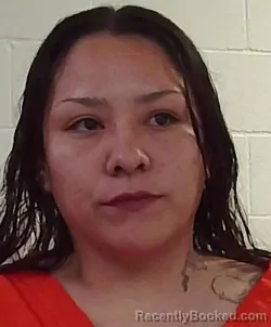 Mugshot of KELSEY ALEXANDER booked in Seminole County, Oklahoma on March 21, 2026