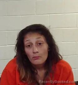 Mugshot of ANNA ODOM-BIRDTAIL booked in Seminole County, Oklahoma on March 24, 2026