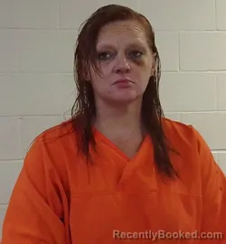 Mugshot of APRIL KEESE booked in Seminole County, Oklahoma on March 25, 2026