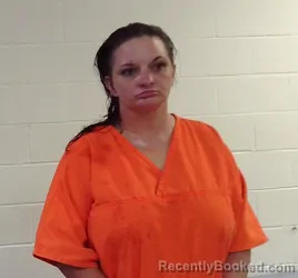 Mugshot of VANESSA R SKIPWORTH booked in Seminole County, Oklahoma on March 26, 2026