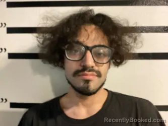 Mugshot of NATHANIEL WALLACE