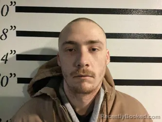 Mugshot of DAVID LEE