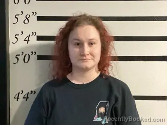 Mugshot of MORGAN ALLISON ALI