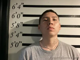 Mugshot of PHEDON JOHNSON