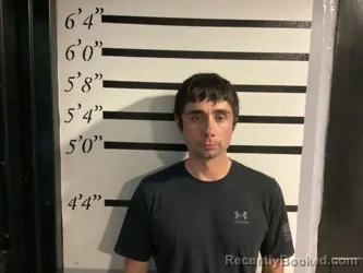 Mugshot of RIELY HENRY