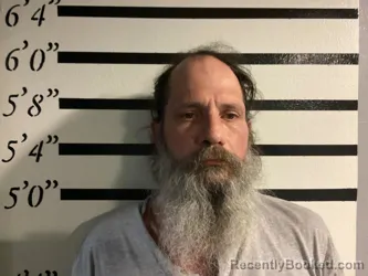 Mugshot of DUSTIN IRELAND