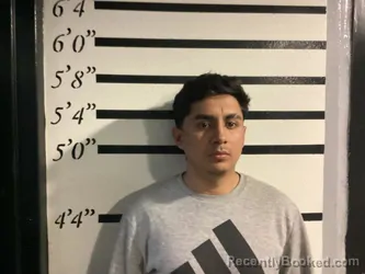 Mugshot of ANNDY JOEL MEDINA- CHIRINOS booked in Sequoyah County, Oklahoma on March 8, 2026