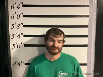 Mugshot of CASY FARABEE