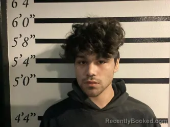 Mugshot of MICHAEL RUSSELL REED