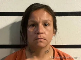 Mugshot of NANCY WASHINGTON booked in Sequoyah County, Oklahoma on March 26, 2026