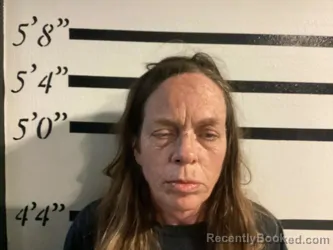 Mugshot of SHAUNA HAACK booked in Sequoyah County, Oklahoma on April 4, 2026