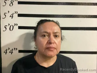 Mugshot of Angelica Guzman-Briana booked in Sequoyah County, Oklahoma on August 6, 2026