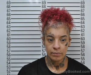 Mugshot of BRITTANY NICOLE LEWIN booked in Stephens County, Oklahoma on April 4, 2026