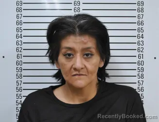 Mugshot of ESTHER HELEN TORREZ booked in Stephens County, Oklahoma on April 4, 2026